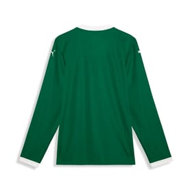 Herren Palmeiras 2025/26 Heimtrikot Langarm