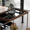 Bar Sancho — foto 4