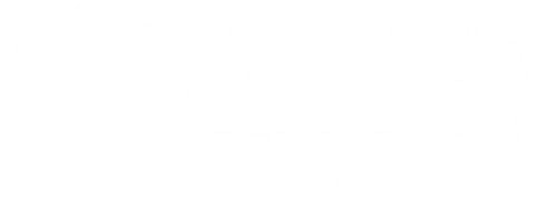 NT logo (1)
