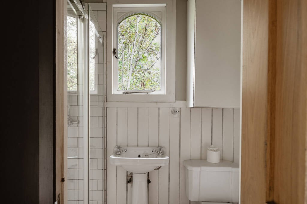 Bathroom with a shower, sink and flushing toilet
