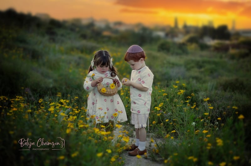 צילום מסך 2023-12-10 202433