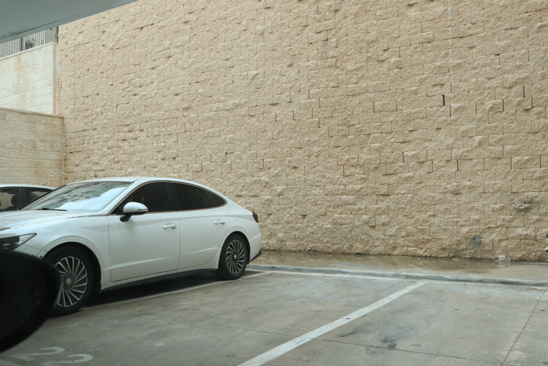 צילום מסך 2024-11-24 124154