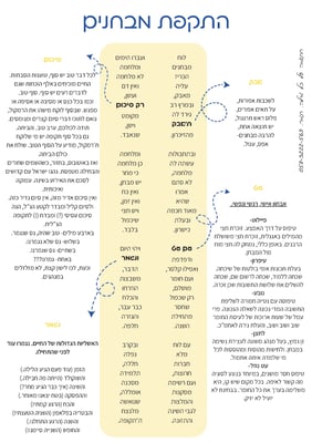 התקפת מבחנים