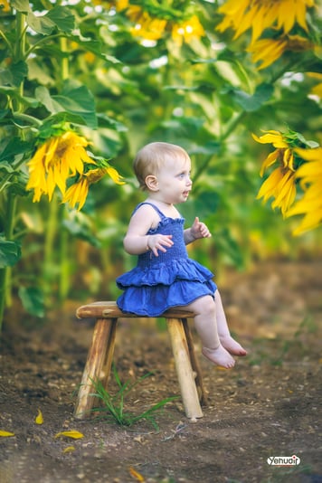 ‏‏‏‏5X7A9574 - יהודית סמט - עותק