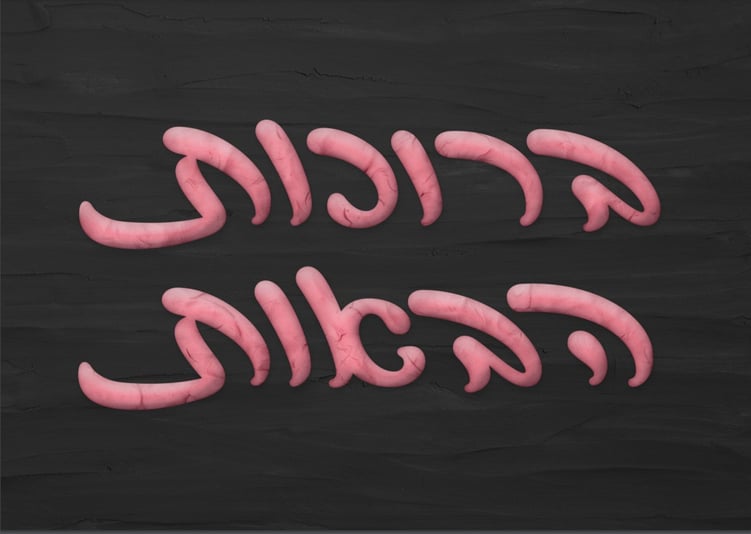 צילום מסך 2023-02-15 101129