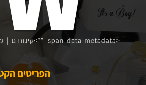 צילום מסך 2024-10-09 110625