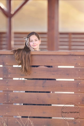 דבורי הרשלר מוקטן 0527143082 (3)