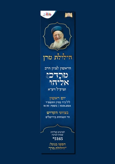 הדמיות הילולה6