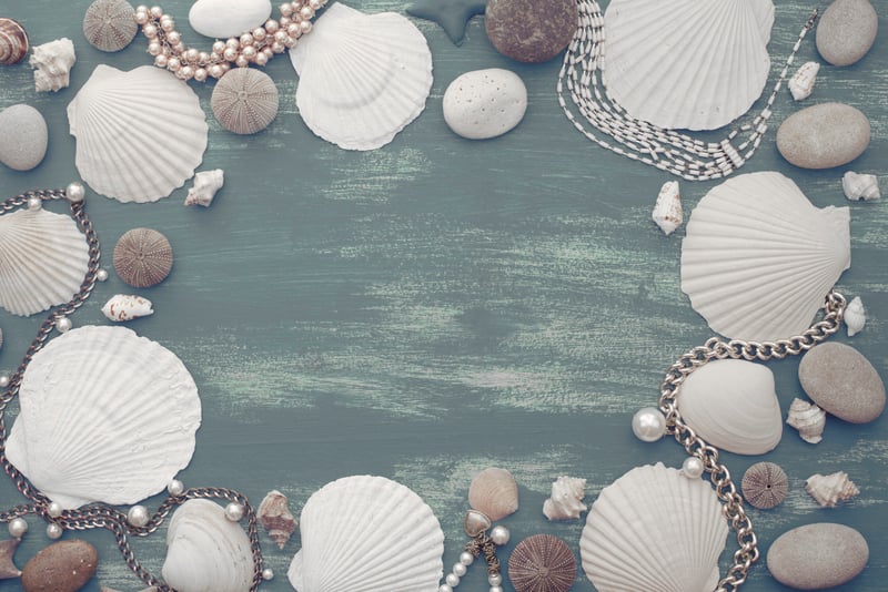 Natural wooden retro sea shell stone background.