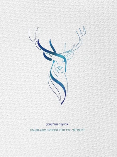 ‏‏לכידה