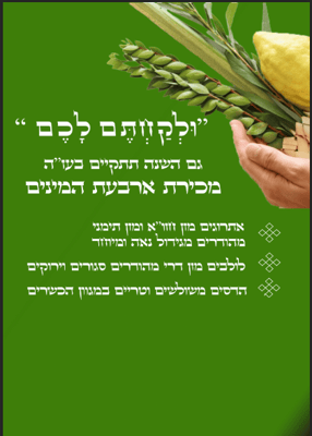 צילום מסך 2025-09-25 214634