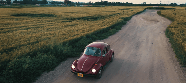 צילום מסך 2026-04-30 013531