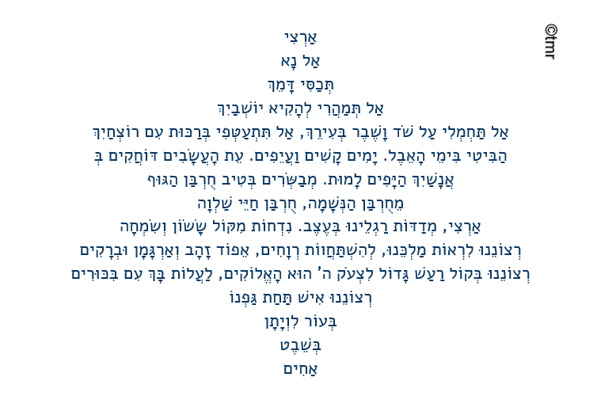 צילום מסך 2023-10-26 201855