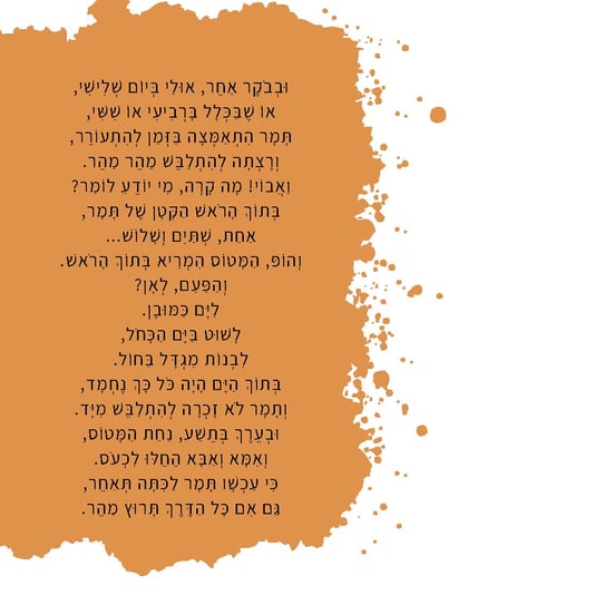 המטוס שלי (4)