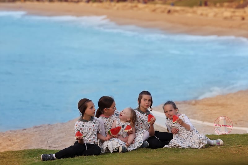 דבורי הרשלר מוקטן 0527143082 (15)