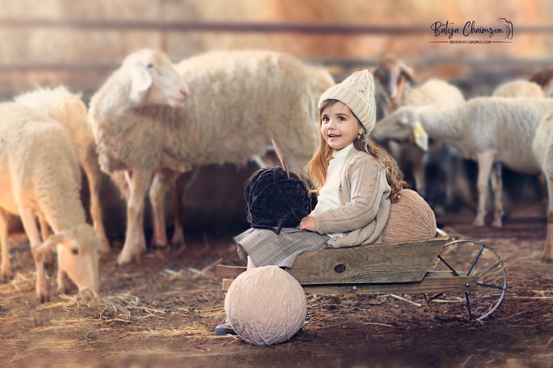 בתיה חיימזון (6) copy 2