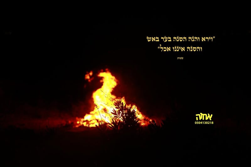 53d8b98e5542bdb7d5762de821ee5a96