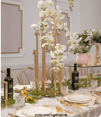 צילום מסך 2022-08-28 224654