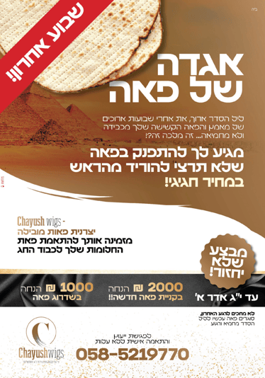 צילום מסך 2024-12-01 181525