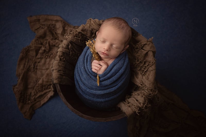 צילום נעמה נייהוז 0504160055 (15)