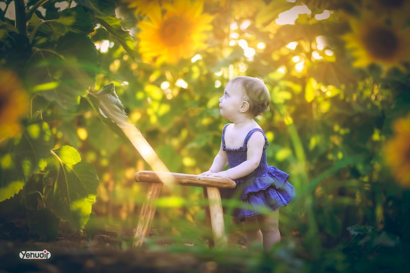 ‏‏‏‏5X7A9388 - יהודית סמט - עותק