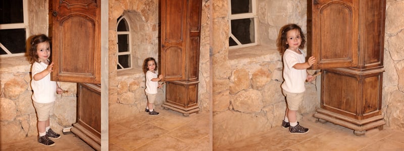 דבורי הרשלר מוקטן 0527143082 (16)