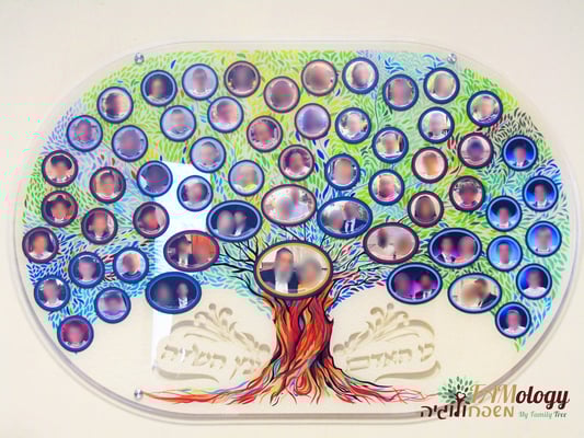 IMG_5993 מטושטש למאמר