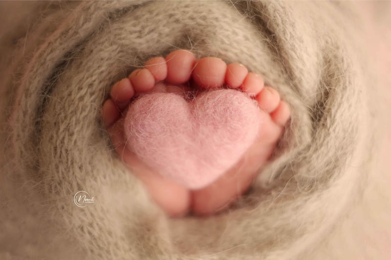 נעמי צלמת 0556738729