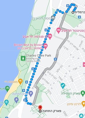 כרמלית למתחם התחנה