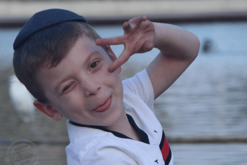צילום מסך 2026-05-03 005907