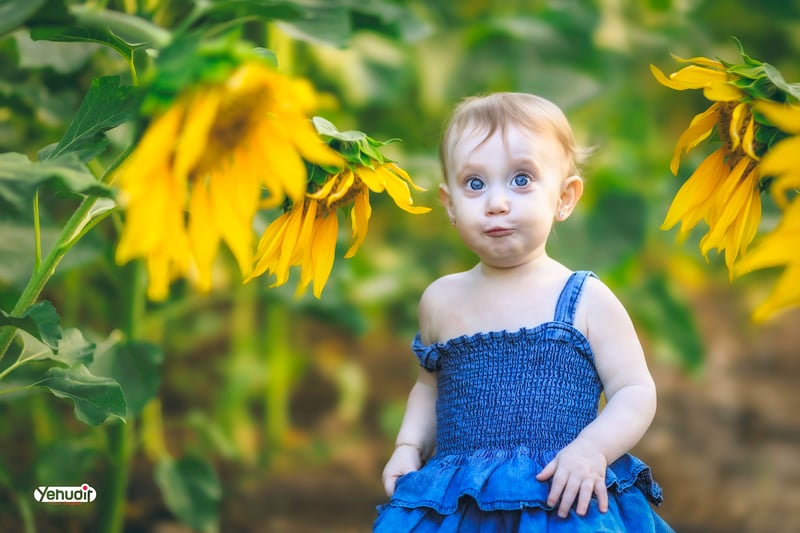 ‏‏‏‏5X7A9542 - יהודית סמט - עותק