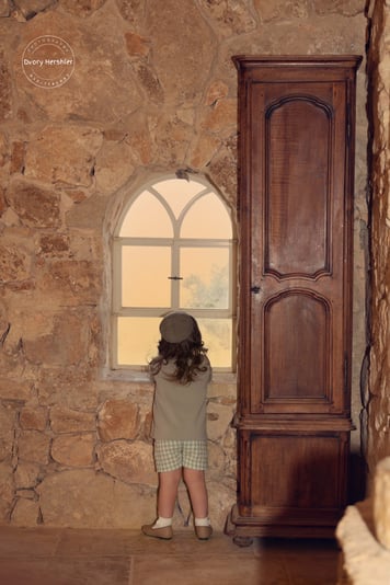 דבורי הרשלר 0527143082 מוקטן (3)