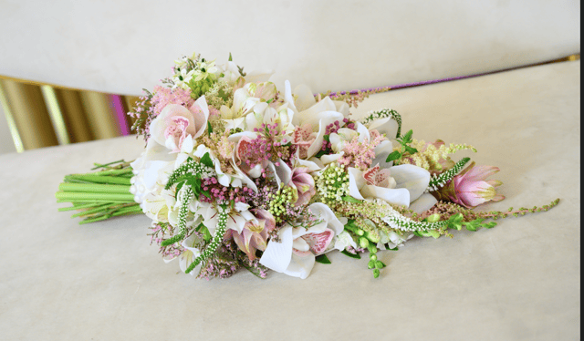 צילום מסך 2025-01-12 195833