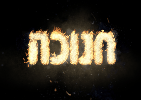 צילום מסך 2024-12-26 103242