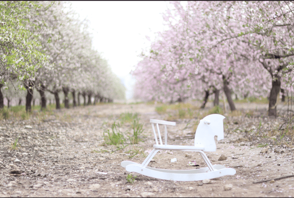 צילום מסך 2026-02-23 214803