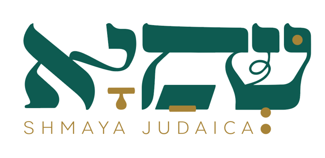 צילום מסך 2024-09-17 233311