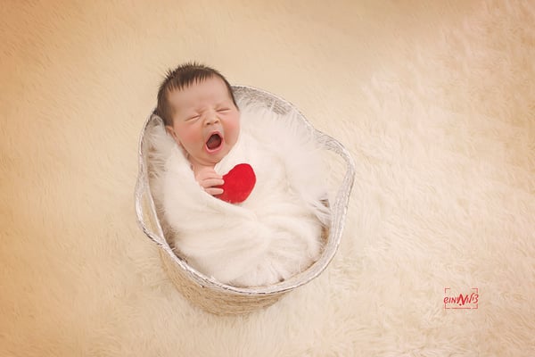 IMG_3594(מוקטן)