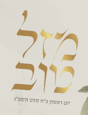 צילום מסך 2025-07-02 212842