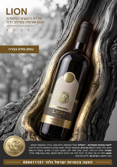 צילום מסך 2026-05-13 163105
