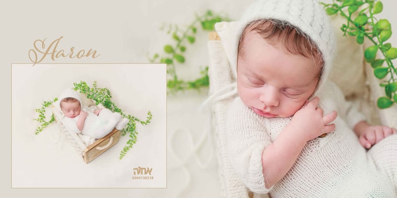 אהרון כהן 0504130218 אחוה פלוטקין