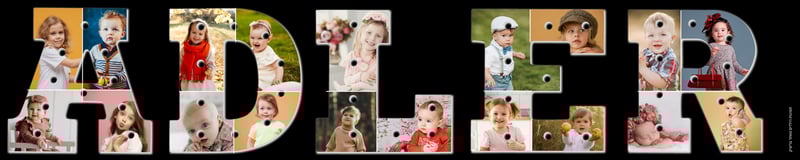 אדלר משפחתי