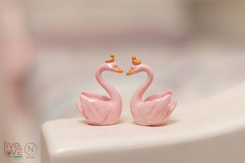 צילום נעמה נייהוז 0504160055 (55)