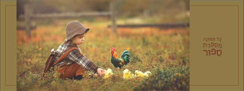 אלבום איכות נמוכה הילי 0527656832 ארגמן (12)