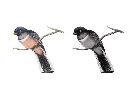 צילום מסך תוצאה-01