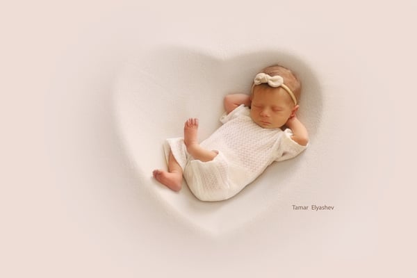 IMG_9945 copy