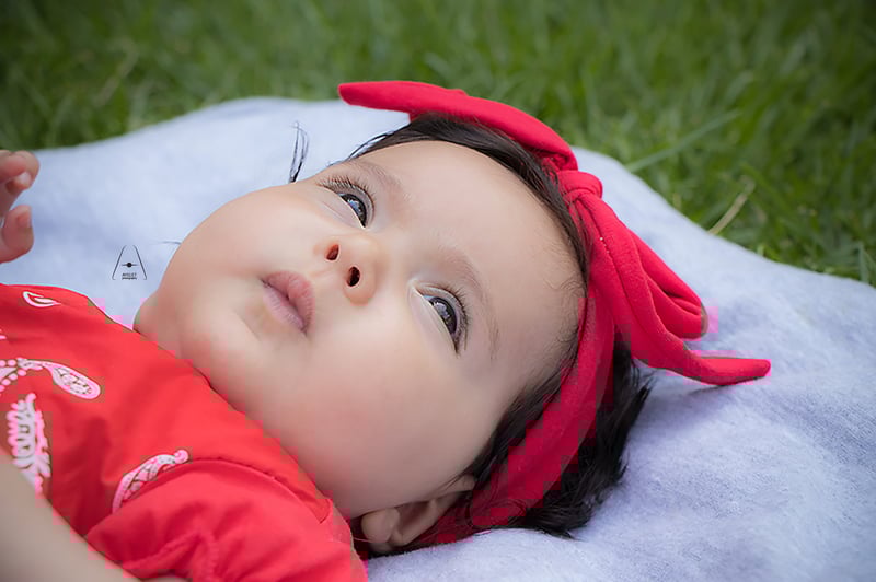 צילום מסך 2020-09-29 163347