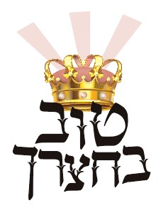 צילום מסך 2026-06-22 235634