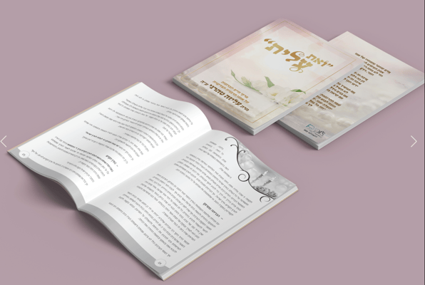 צילום מסך 2025-10-23 221217