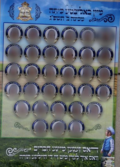 חיידר מטושטש (Large)