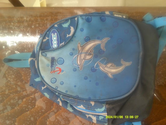 Digital Camera